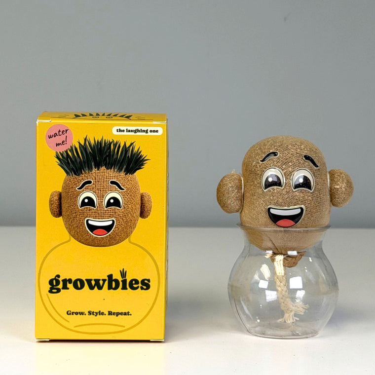 One Growbie with its box: each display holds 16