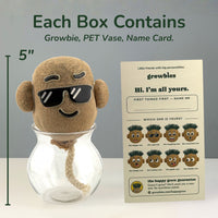 Each box contains a Growbie, PET vase and name card