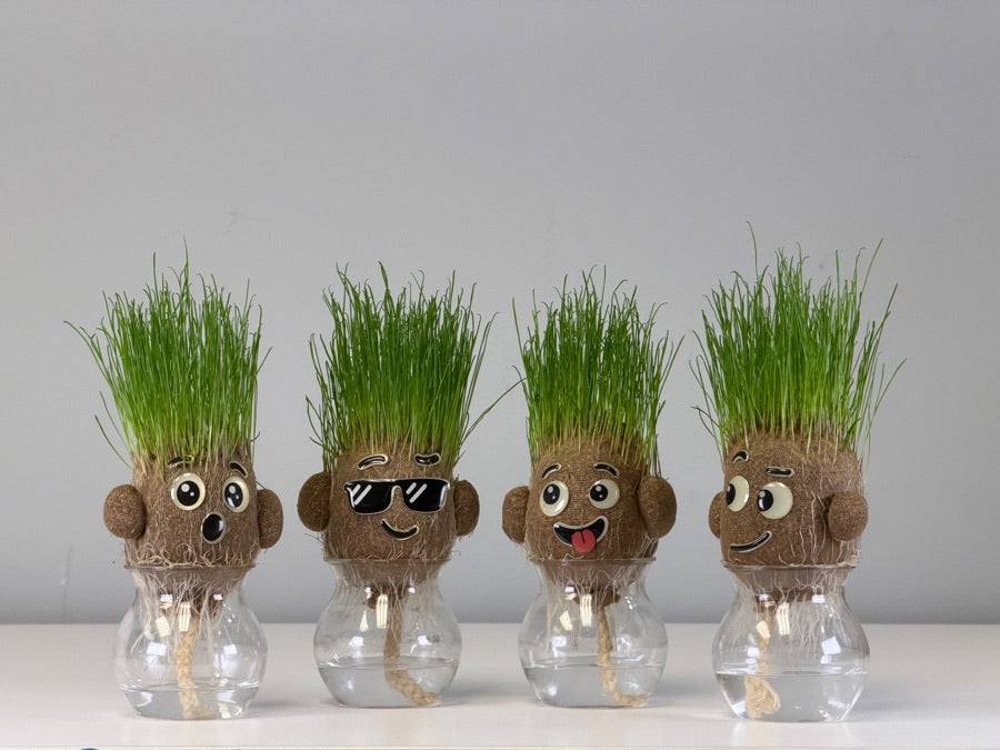 The row on haircut day