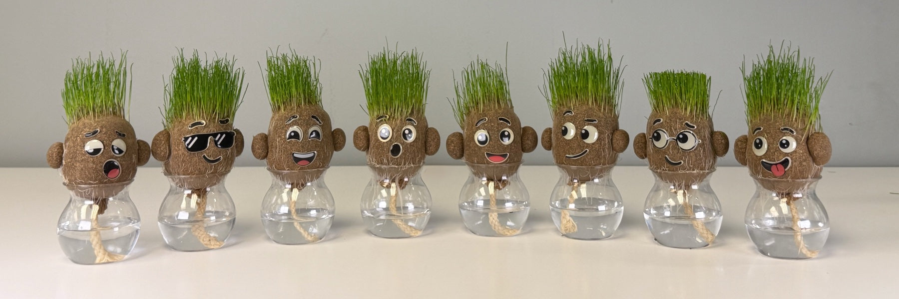 Growbies grass head doll care, day one setup