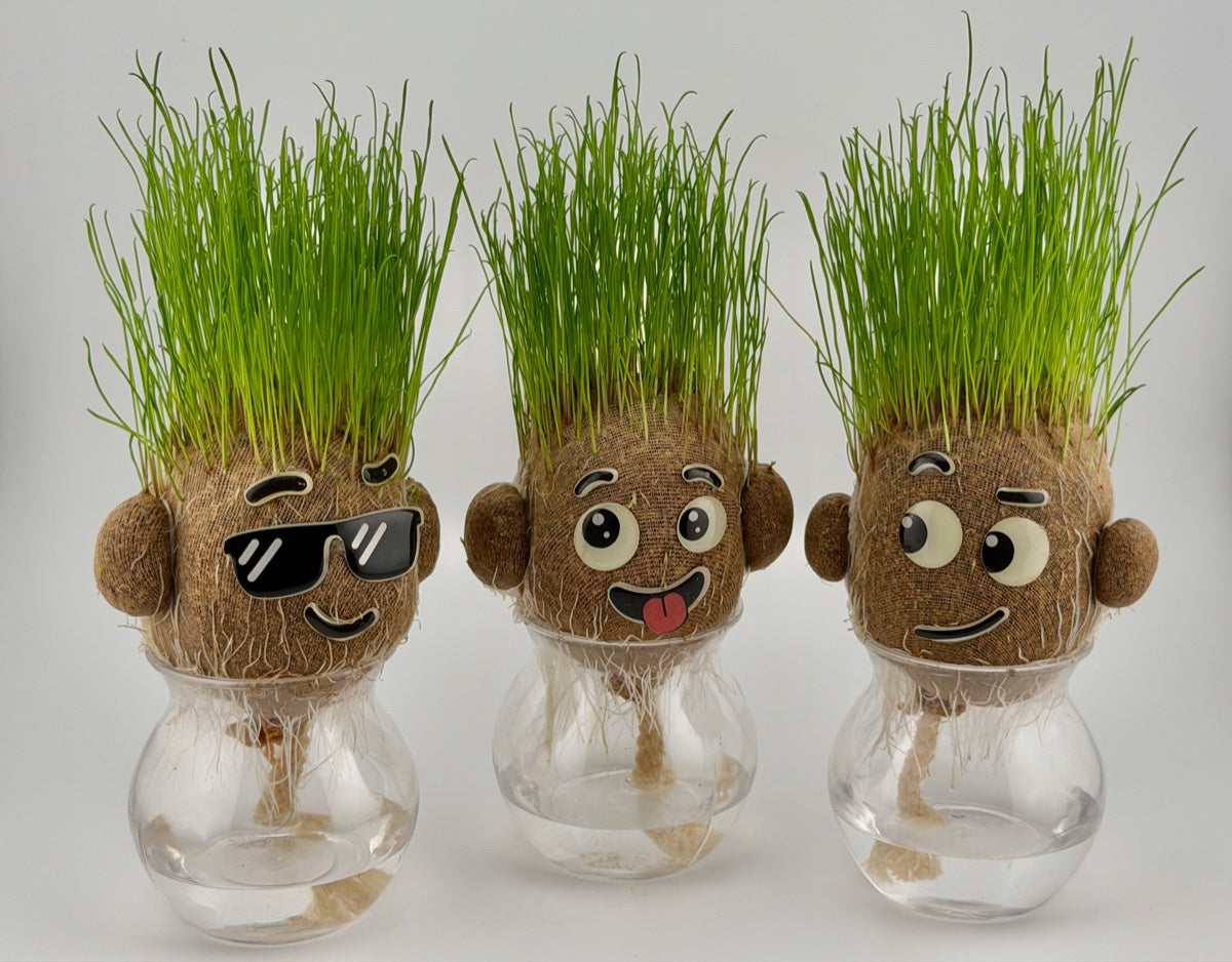 Growbies grass head doll getting a haircut, a Chia Pet alternative for kids