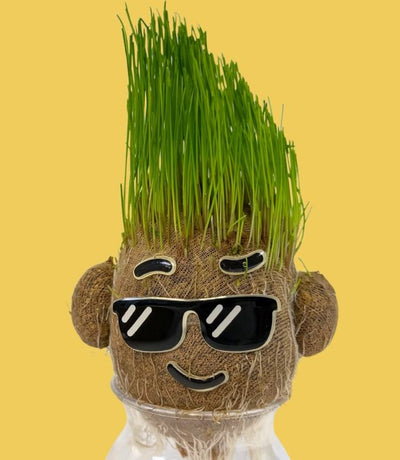 Fresh Cut
