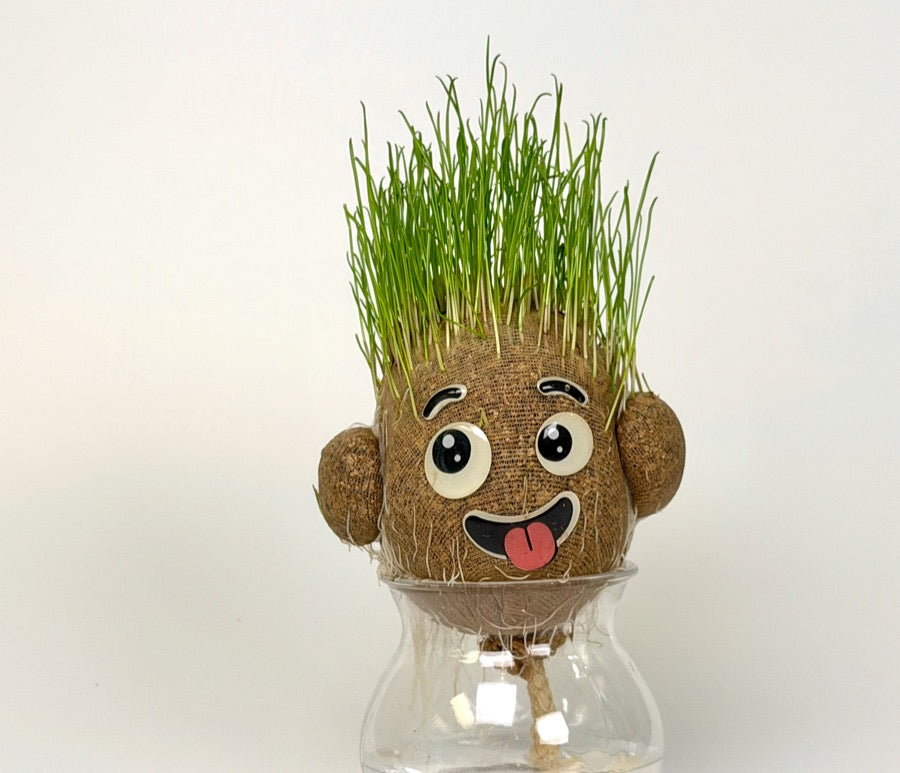 A full head of grass hair on day 6
