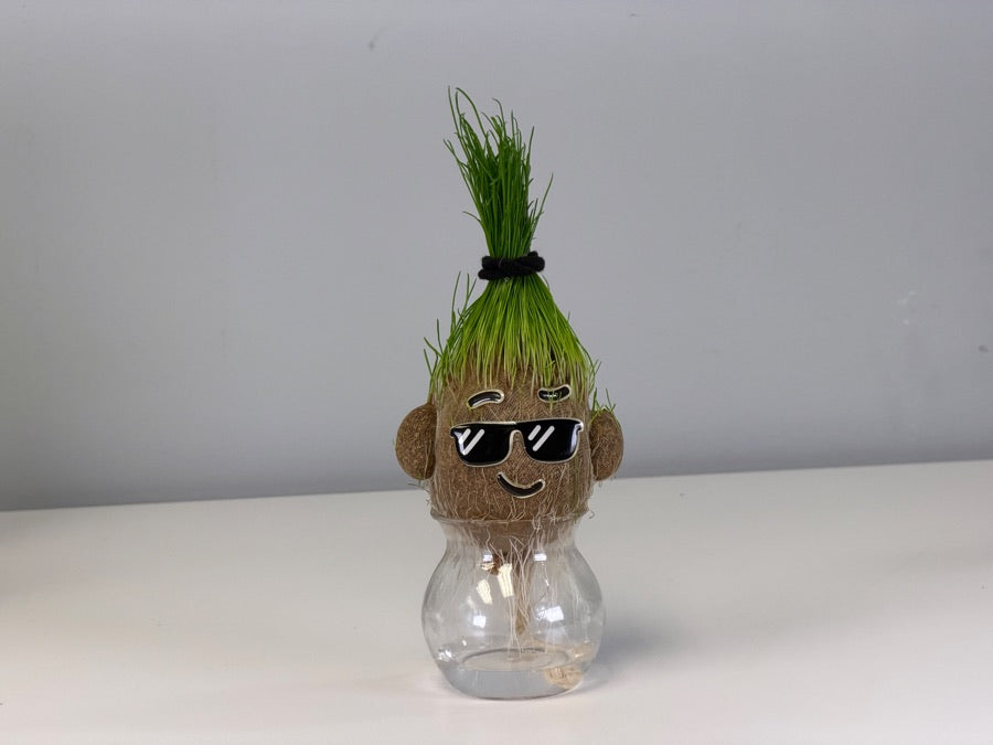 The mohawk